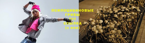 прущий лед Каменногорск