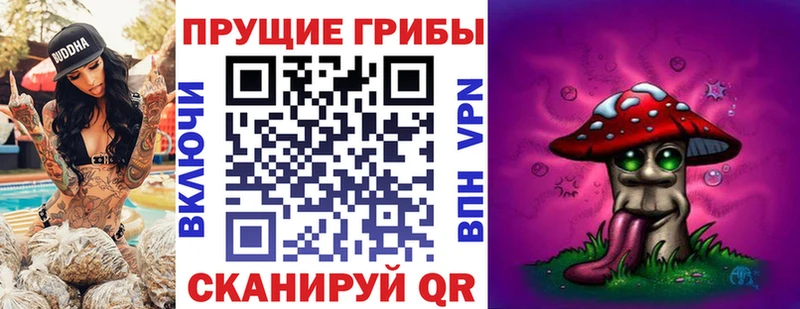 Галлюциногенные грибы Psilocybine cubensis  Купить где  Ростов 